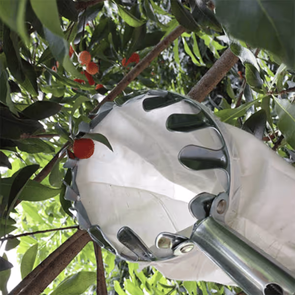 Fruit Picker Head Basket – practical garden tool designed for everyday convenience